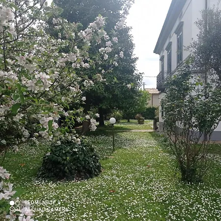 Dello Scrittore Lucca